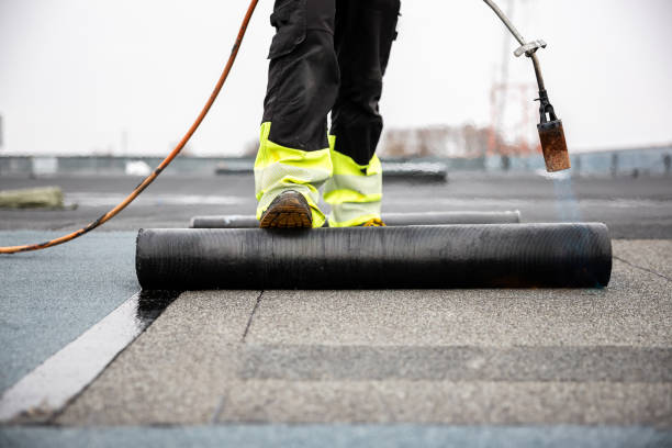 Best Roof Maintenance and Cleaning  in Panhandle, TX